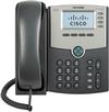 Click here to read more about the Cisco SPA500DS